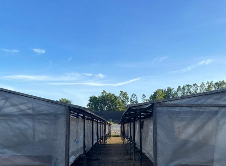 Covered drying houses