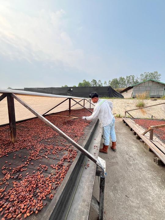 Raised drying beds with protective covers
