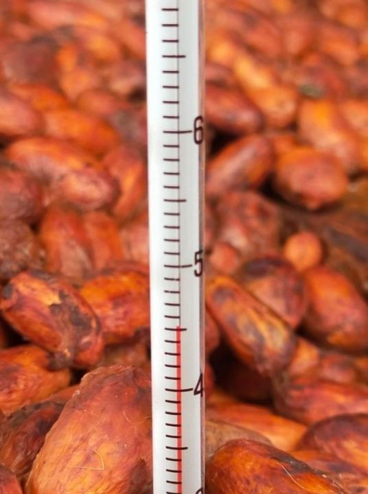 Monitoring bean temperature during fermentation