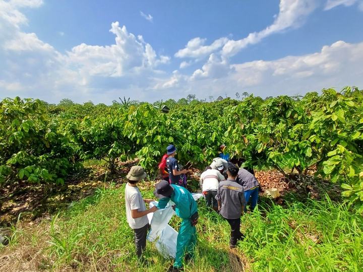 Our field team working with partner farmers