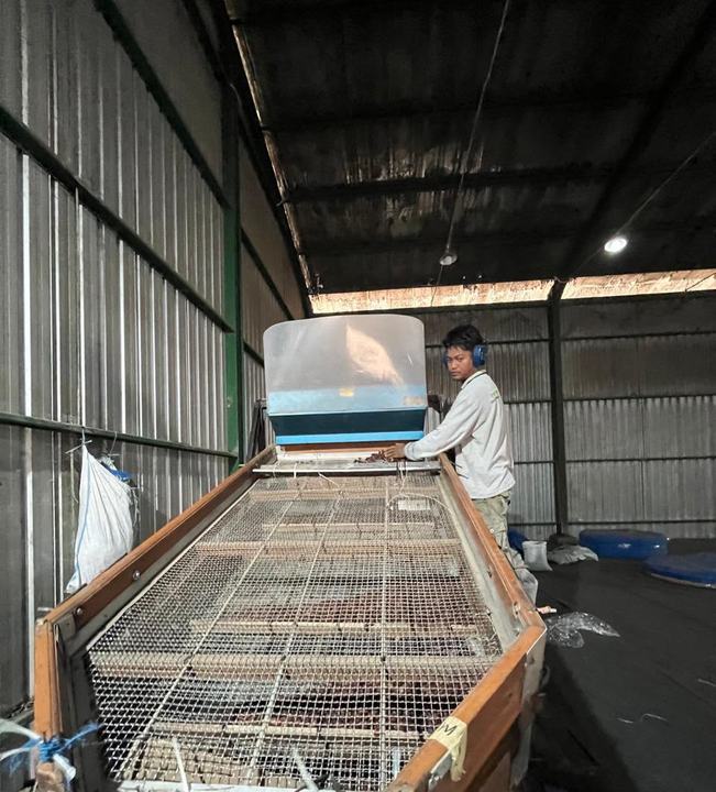 Sorting beans with a screening machine