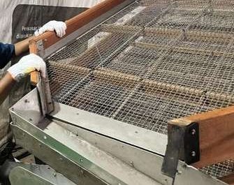 Sorting machine screening cocoa beans